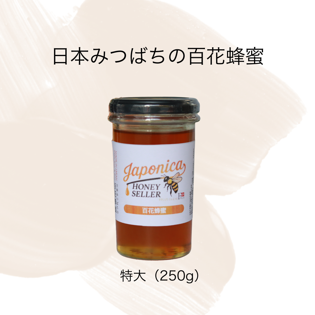 超希少!純度100% 日本みつばちの国産生蜂蜜 (特大)