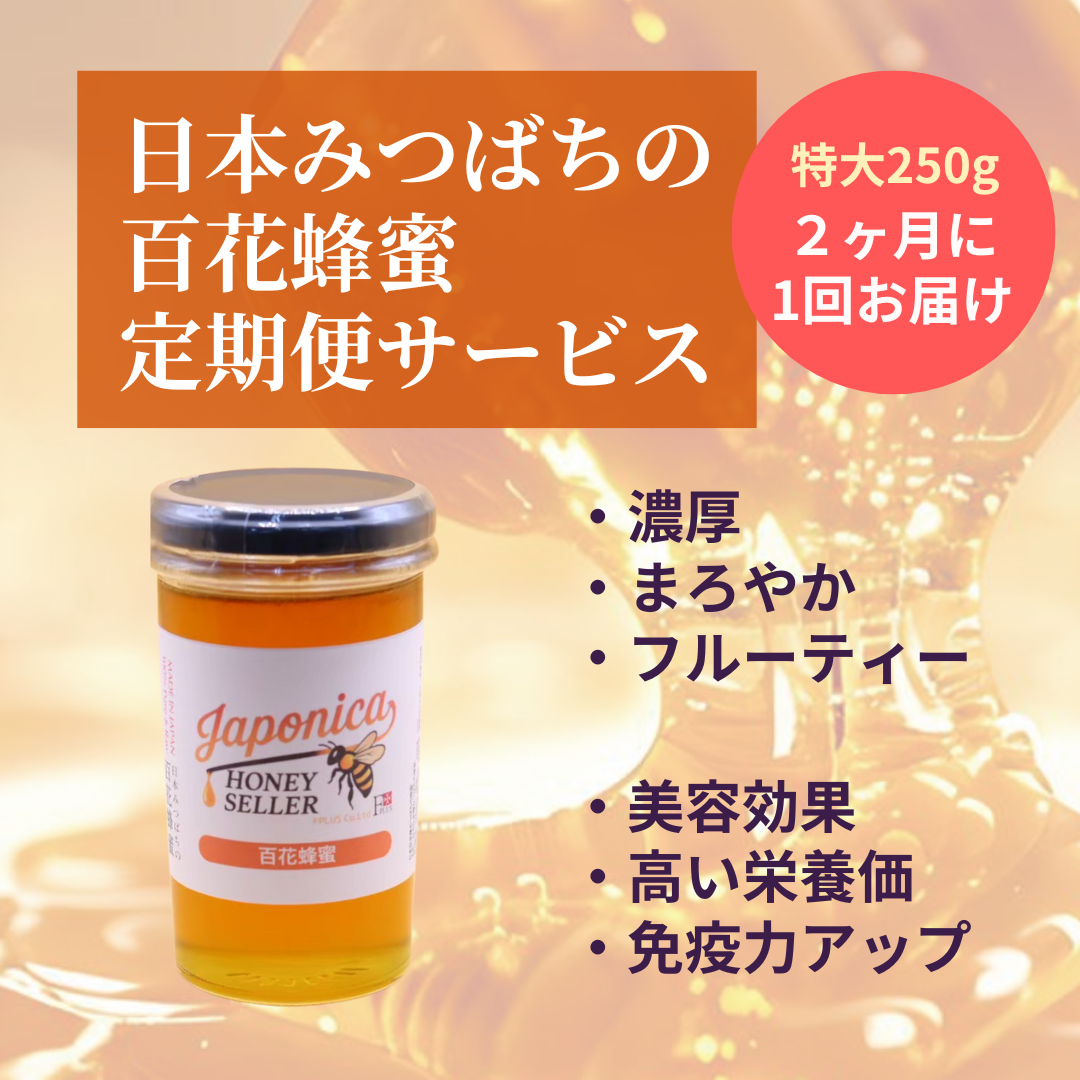 蜂蜜(日本蜜蜂1,1㎏×１本) 蜂蜜を食べてこども食堂を応援！エフプラスのはちみ定期便 – Japonica