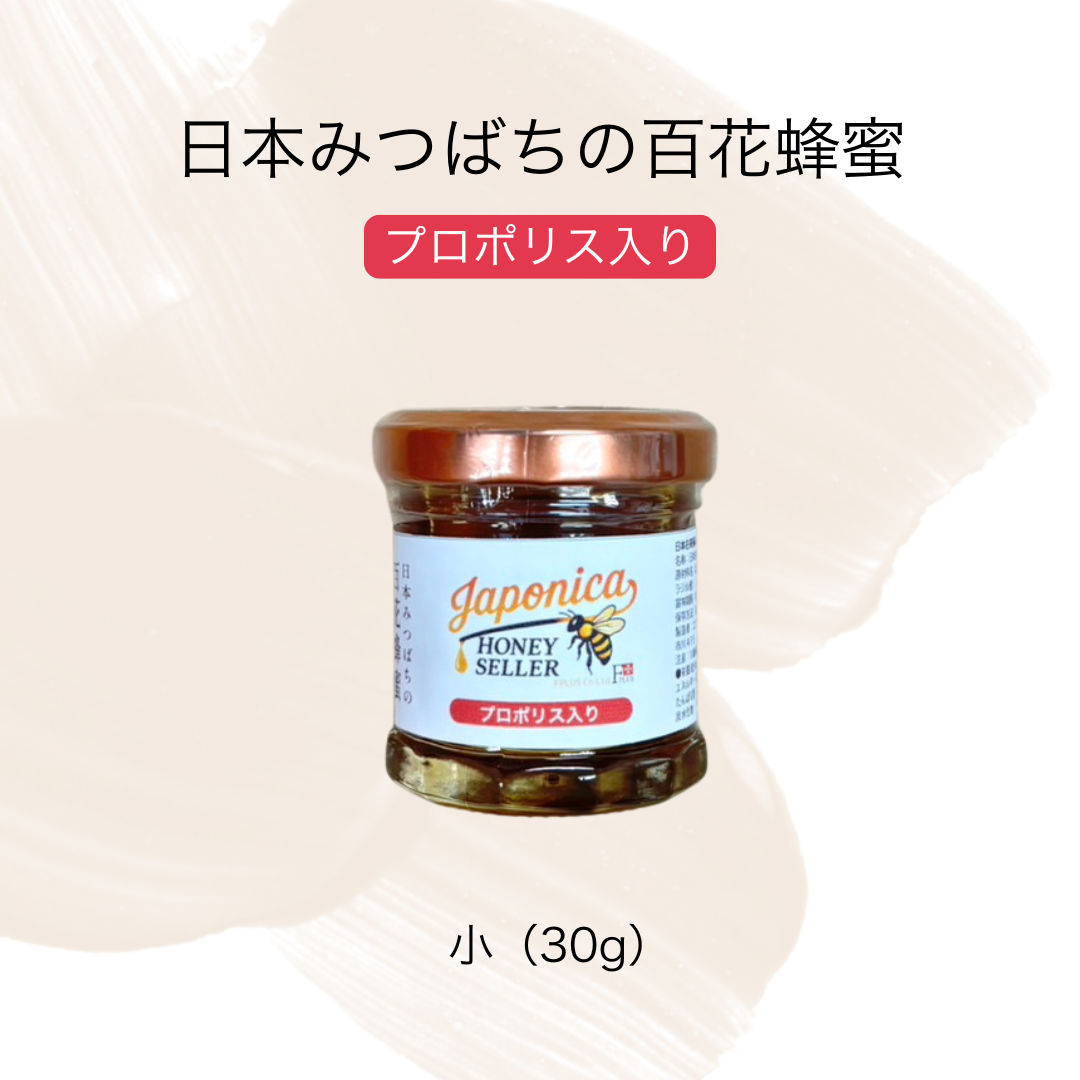 【お試し3種セット】超希少!純度100% 日本みつばちの国産生蜂蜜 (小) 30g ×3個