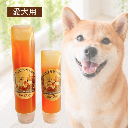 【For Dog】愛犬用日本みつばちの生蜂蜜（LFK乳酸菌入り）小45g