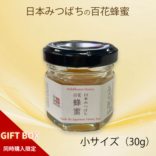 超希少！純度100％ 日本みつばちの国産生蜂蜜 （小）【GIFT BOX同時購入限定】送料無料