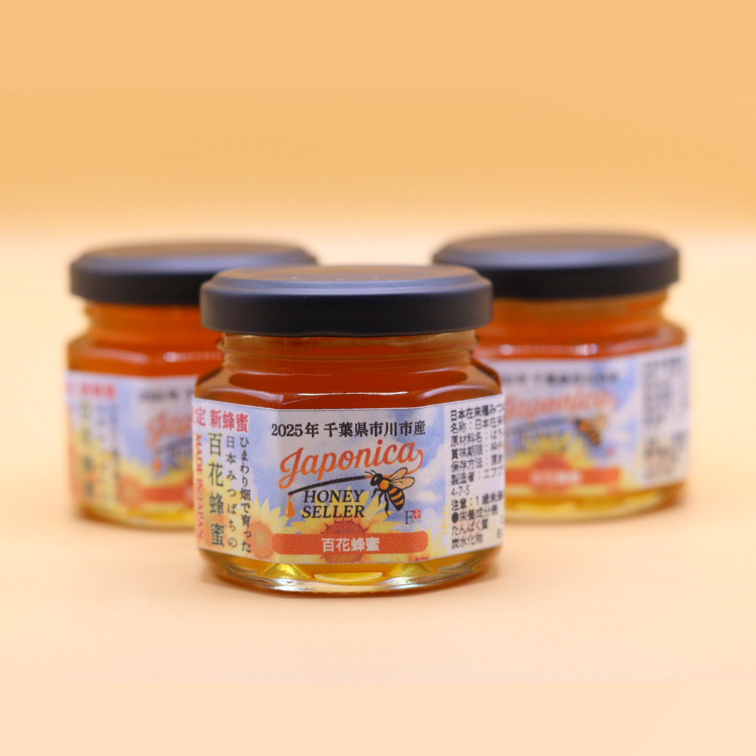 【今だけ】市川産：ひまわり畑で育った日本みつばちの生蜂蜜（数量限定100個）（送料無料）