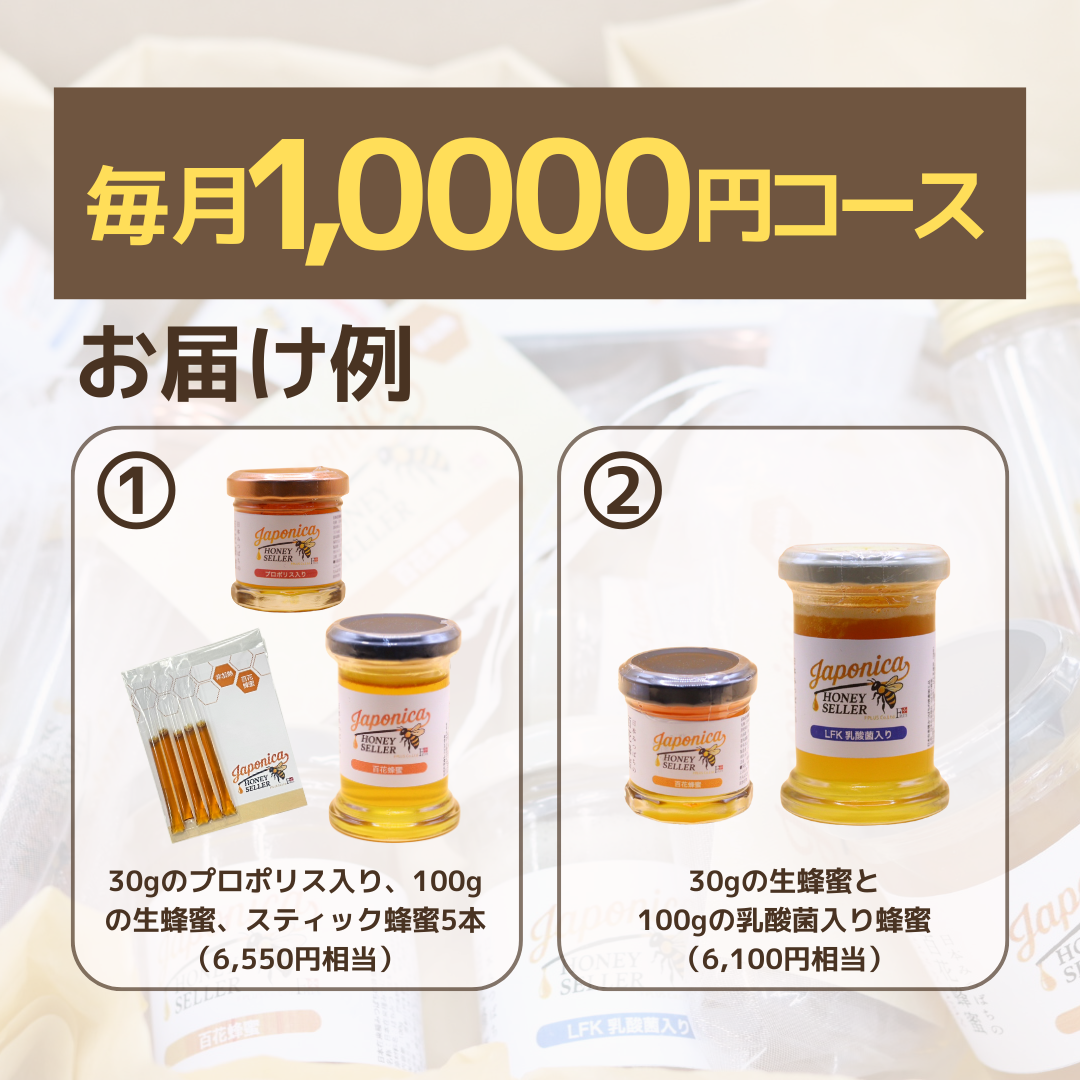 【クラファン型 福袋サブスク】食べて応援する、こども食堂サポーター【送料無料】