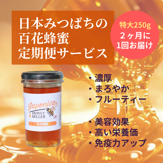 【隔月】【定期購入】【送料無料】はちみつ定期便（日本みつばちの百花蜂蜜）【特大250g】