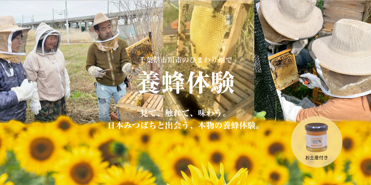 市川の日本みつばち養蜂体験